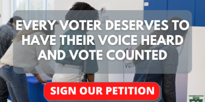 Every voter deserves to have their voice heard and vote counted!