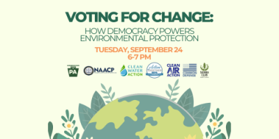 Voting for Change: How Democracy Powers Environmental Protection